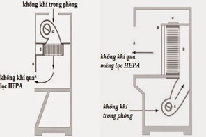 phan biet tu an toan sinh hoc va tu cay vi sinh