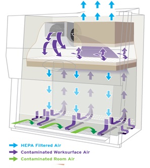 tủ an toàn sinh học cấp 2